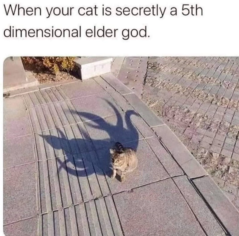 When your cat is secretly a 5th dimensional elder god.