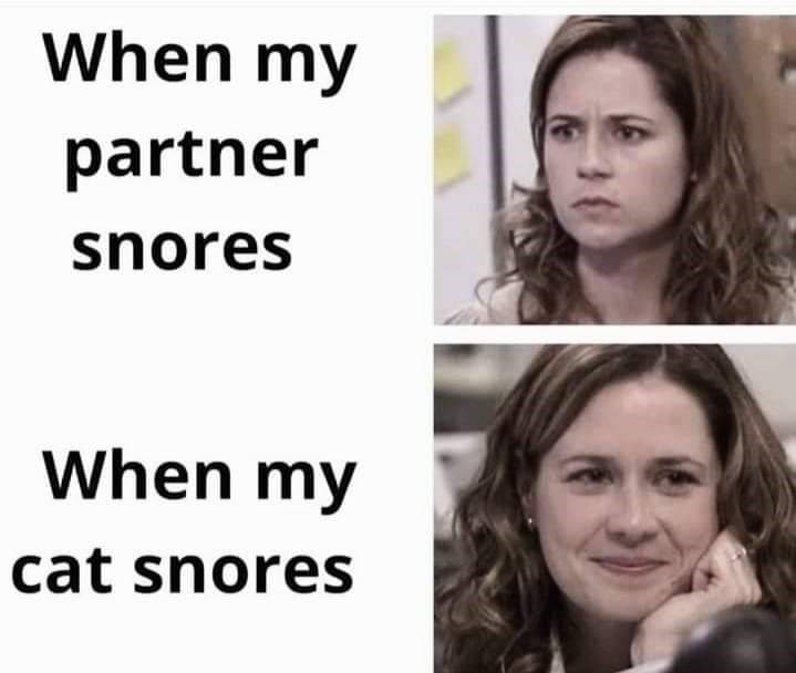 When my partner snores When my cat snores 30