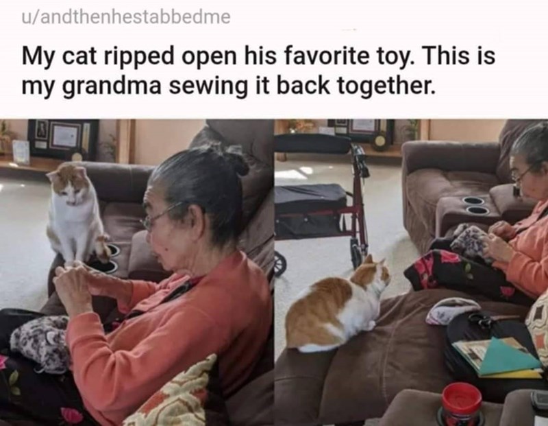 u/andthenhestabbedme My cat ripped open his favorite toy. This is my grandma sewing it back together.