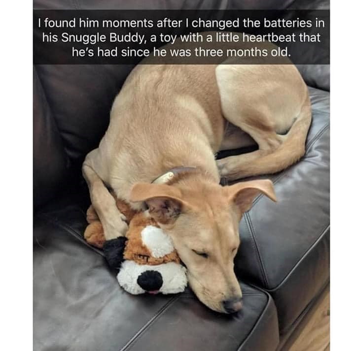I found him moments after I changed the batteries in his Snuggle Buddy, a toy with a little heartbeat that he's had since he was three months old.