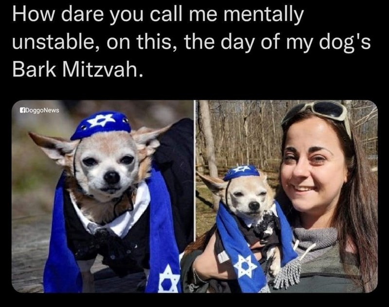 How dare you call me mentally unstable, on this, the day of my dog's Bark Mitzvah. DoggoNews