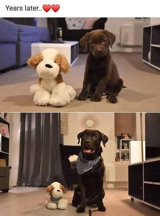 Years later..