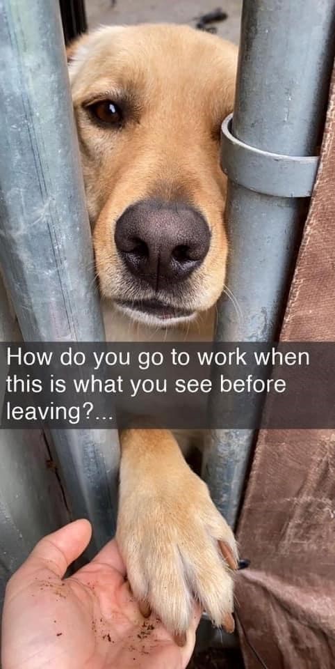 How do you go to work when this is what you see before leaving?...