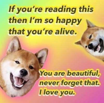 If you're reading this then I'm so happy that you're alive. You are beautiful, never forget that. I love you.