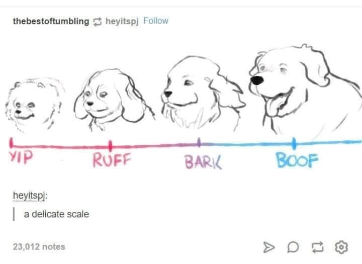 thebestoftumbling heyitspj Follow YIP RUFF BARK BOOF heyitspj: a delicate scale 23,012 notes CA