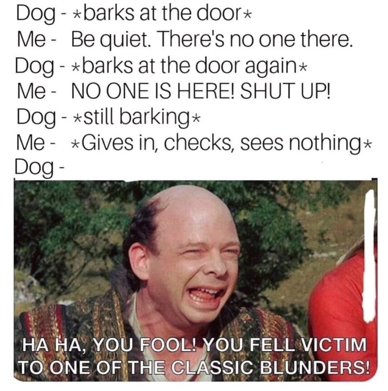 Dog barks at the door* - - Me Be quiet. There's no one there. Dog-*barks at the door again* Me NO ONE IS HERE! SHUT UP! Dog-*still barking* Me Gives in, checks, sees nothing* Dog- HA HA, YOU FOOL! YOU FELL VICTIM TO ONE OF THE CLASSIC BLUNDERS!