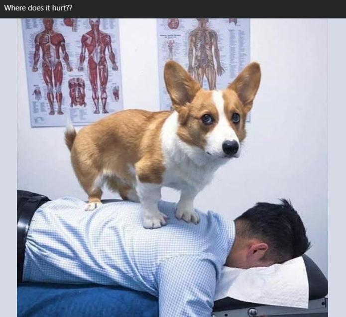Where does it hurt?? 0