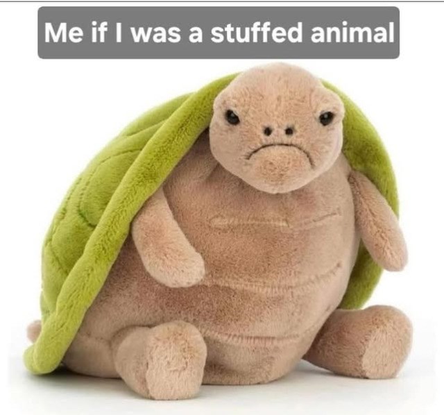 Me if I was a stuffed animal