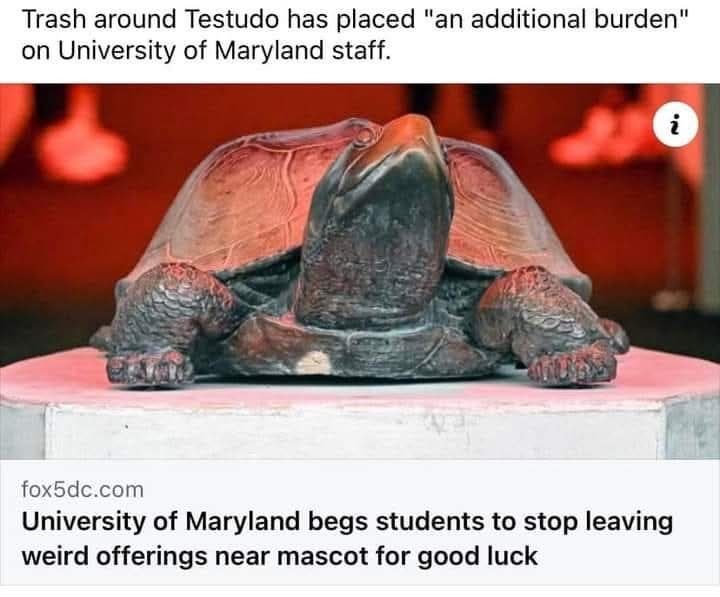 Trash around Testudo has placed "an additional burden" on University of Maryland staff. fox5dc.com University of Maryland begs students to stop leaving weird offerings near mascot for good luck i
