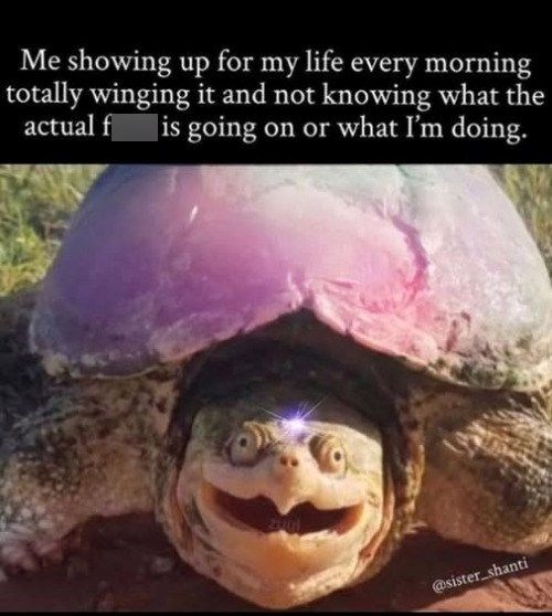 Me showing up for my life every morning totally winging it and not knowing what the actual f is going on or what I'm doing. @sister_shanti