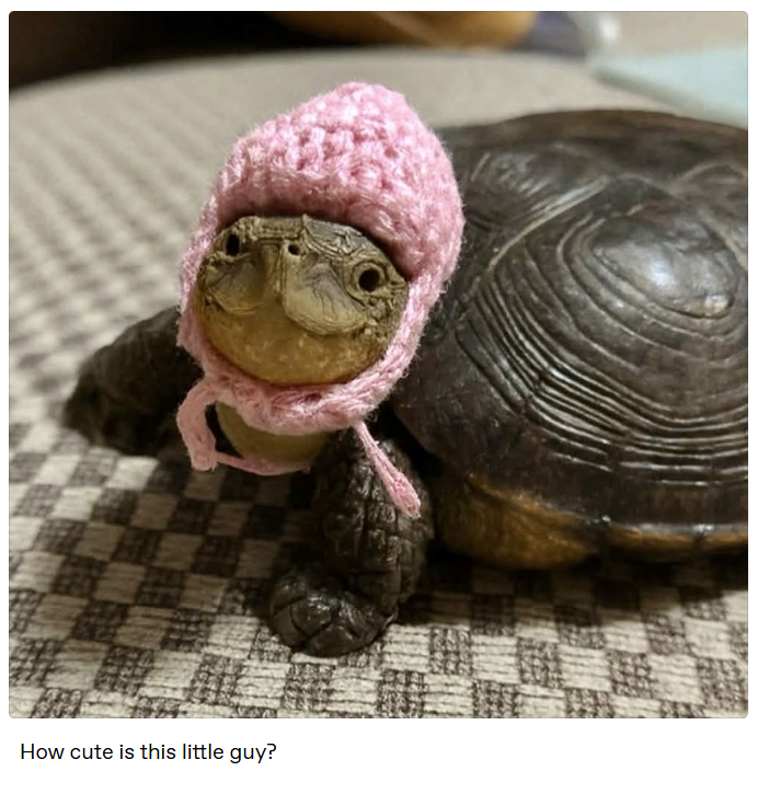 How cute is this little guy?
