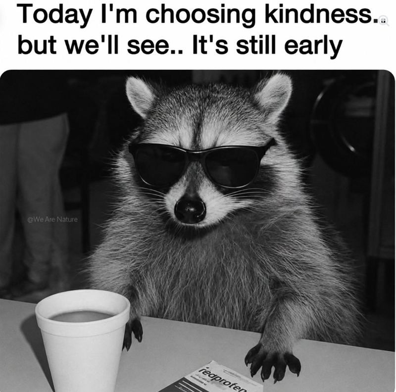 Today I'm choosing kindness... but we'll see.. It's still early @We Are Nature redproter