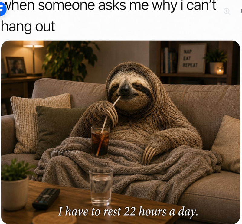 when someone asks me why i can't hang out We Are Nature NAP EAT REPEAT I have to rest 22 hours a day.