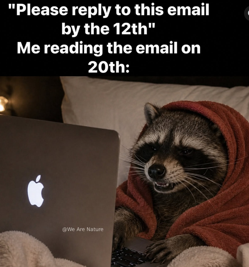 "Please reply to this email by the 12th" Me reading the email on 20th: @We Are Nature