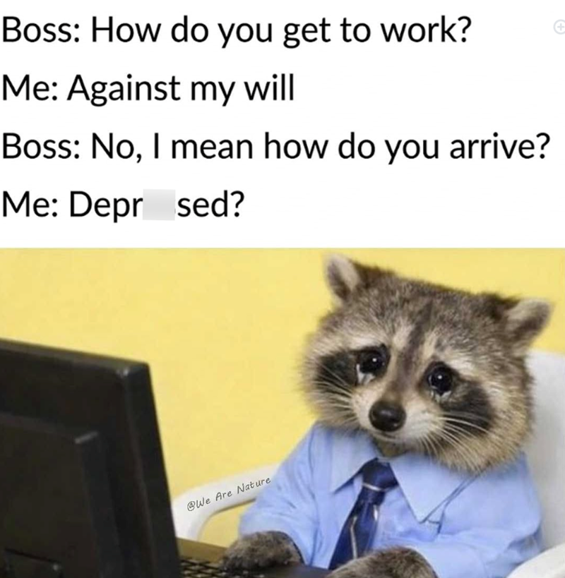 Boss: How do you get to work? Me: Against my will Boss: No, I mean how do you arrive? Me: Depr sed? @We Are Nature +