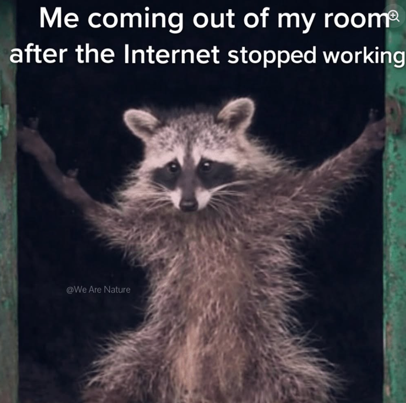 Me coming out of my roomⓇ after the Internet stopped working @We Are Nature