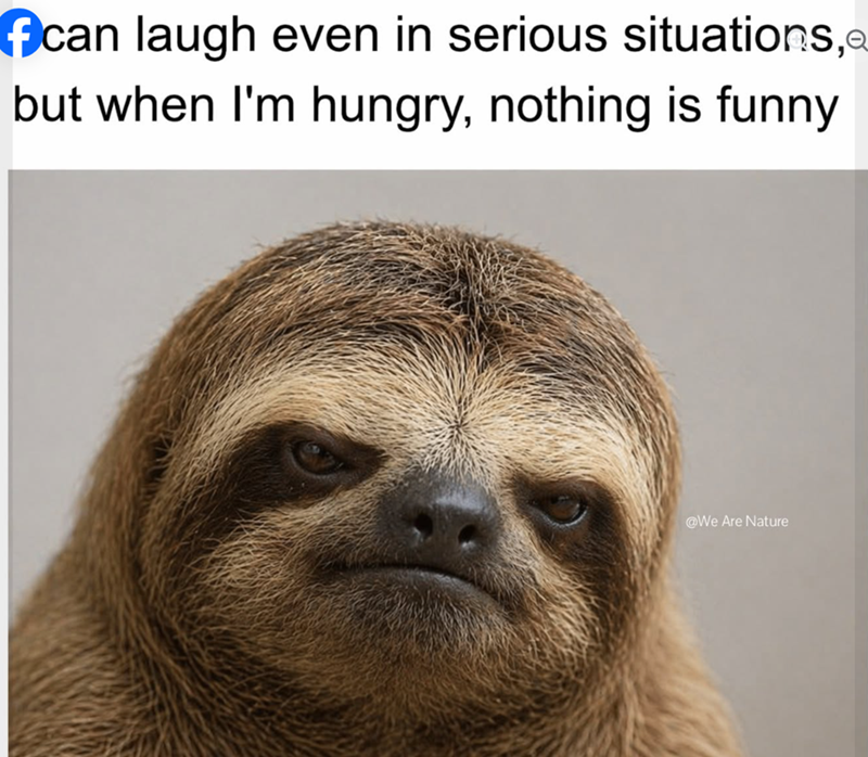 f can laugh even in serious situations, but when I'm hungry, nothing is funny @We Are Nature