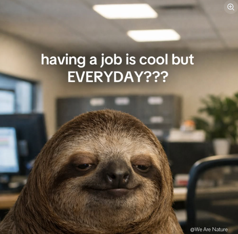 having a job is cool but EVERYDAY??? @We Are Nature