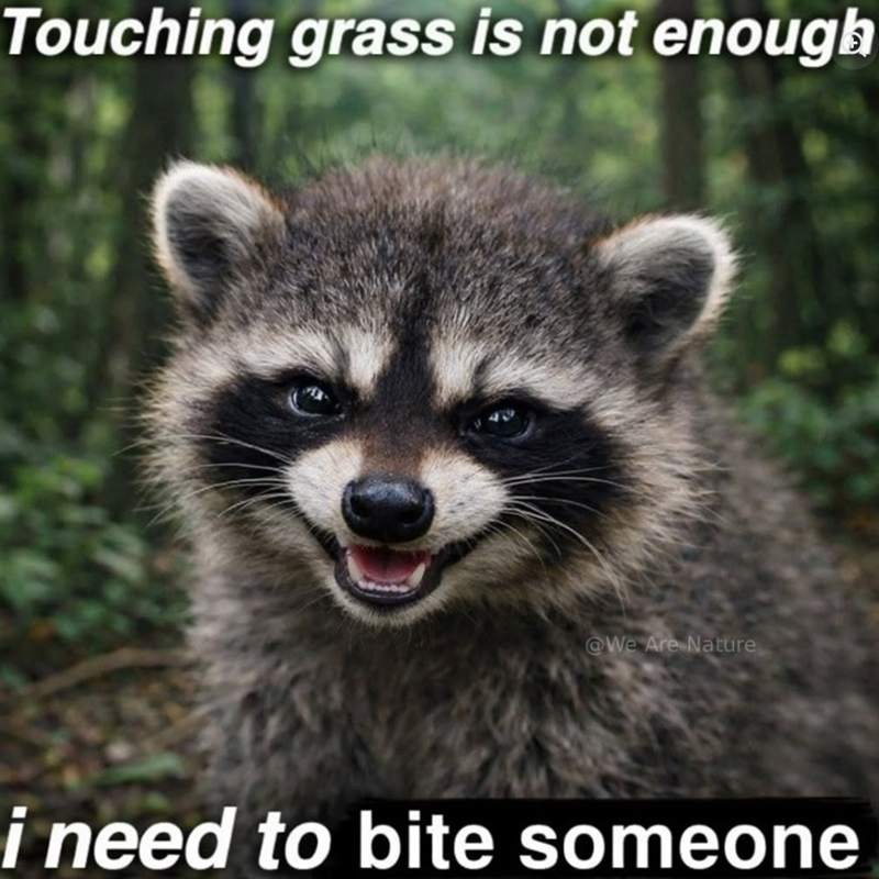 Touching grass is not enough @We Are Nature i need to bite someone
