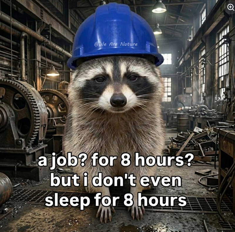 FEE @We Are Nature a job? for 8 hours? but i don't even sleep for 8 hours +
