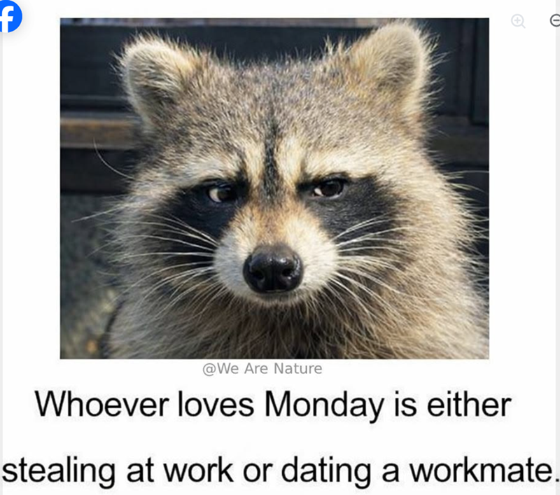 f @We Are Nature Whoever loves Monday is either stealing at work or dating a workmate.