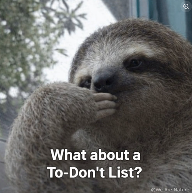 + What about a To-Don't List? @We Are Nature