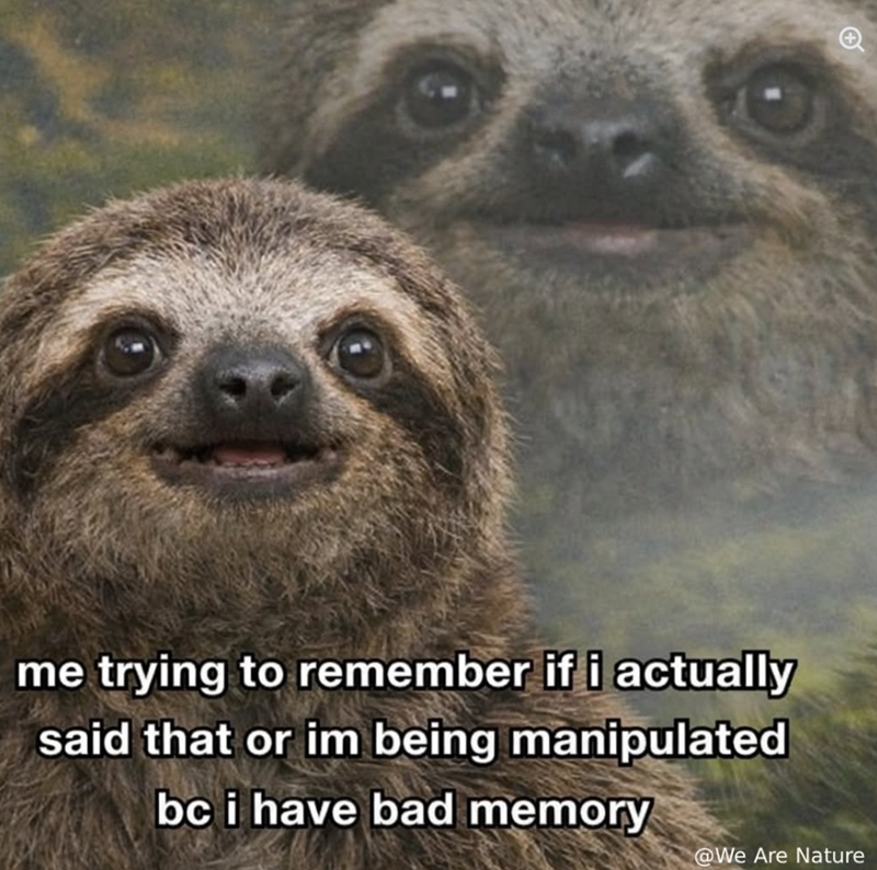 me trying to remember if i actually said that or im being manipulated bc i have bad memory @We Are Nature