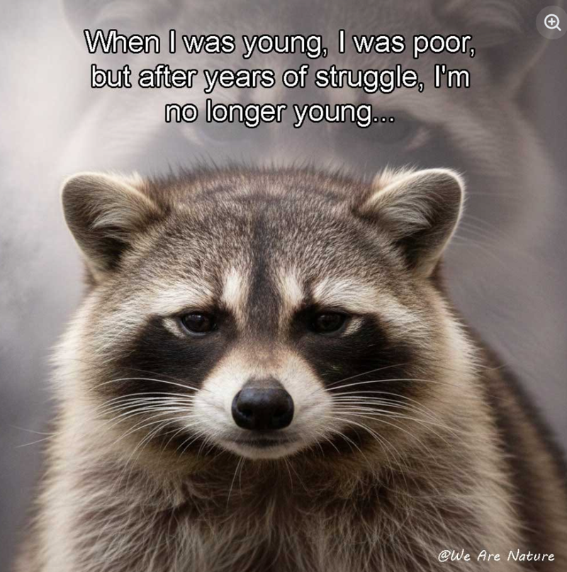 When I was young, I was poor, but after years of struggle, I'm no longer young... @We Are Nature