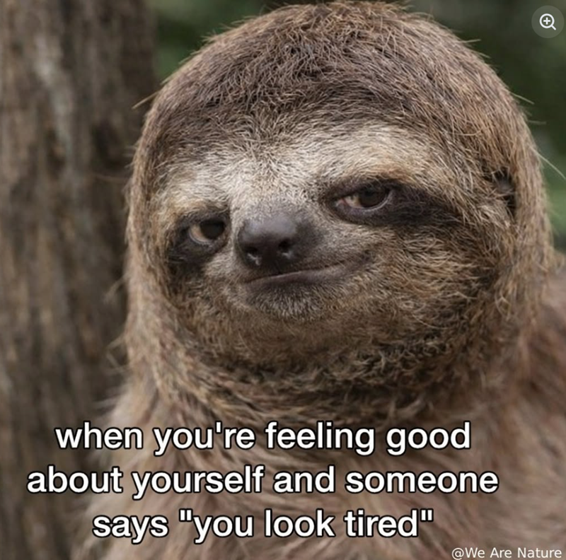 when you're feeling good about yourself and someone says "you look tired" @We Are Nature