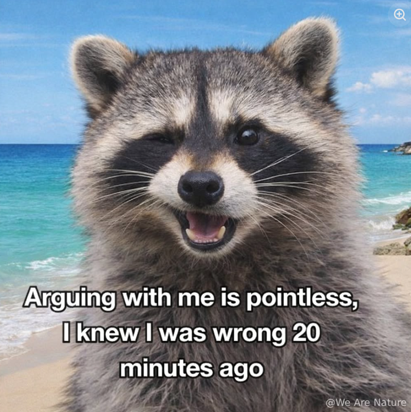 Arguing with me is pointless, I knew I was wrong 20 minutes ago @We Are Nature