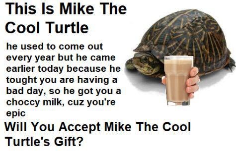 This Is Mike The Cool Turtle he used to come out every year but he came earlier today because he tought you are having a bad day, so he got you a choccy milk, cuz you're epic Will You Accept Mike The Cool Turtle's Gift?