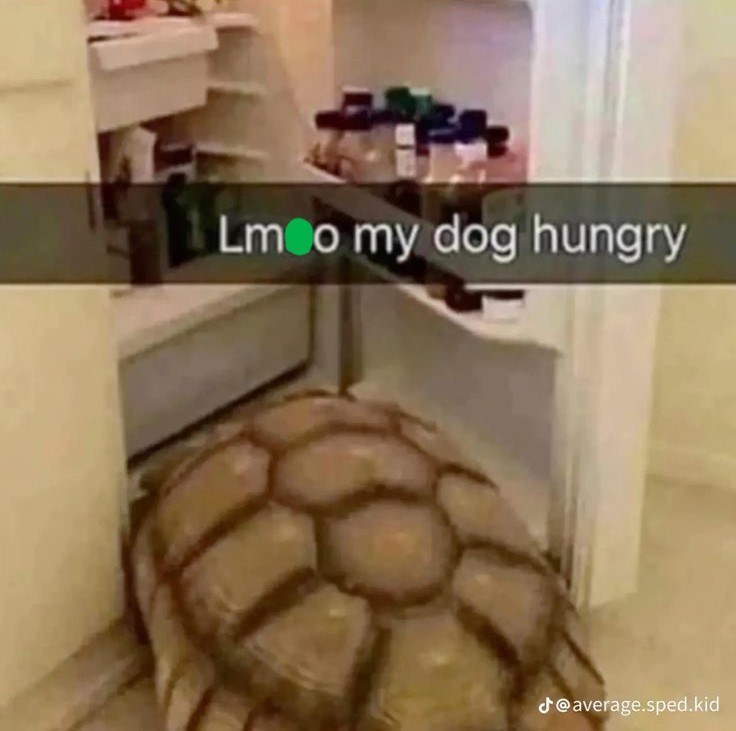 Lmoo my dog hungry @average.sped.kid