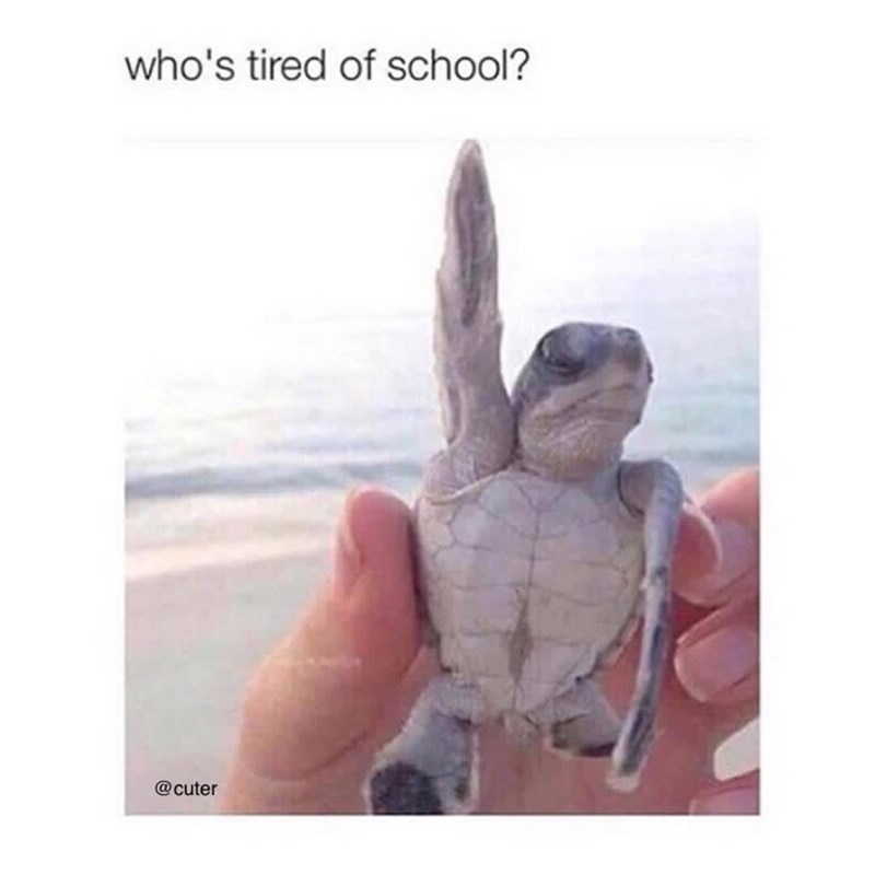 who's tired of school? @cuter