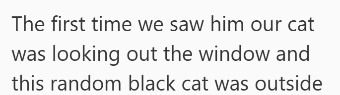The first time we saw him our cat was looking out the window and this random black cat was outside