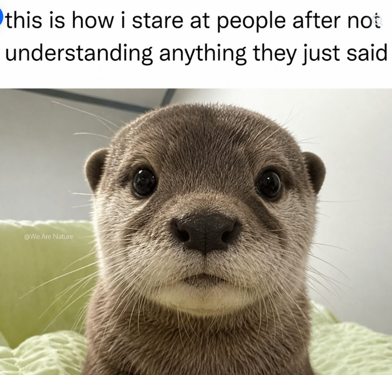this is how i stare at people after not understanding anything they just said @We Are Nature