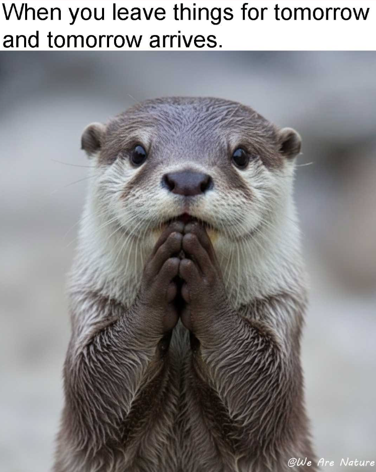 When you leave things for tomorrow and tomorrow arrives. @We Are Nature