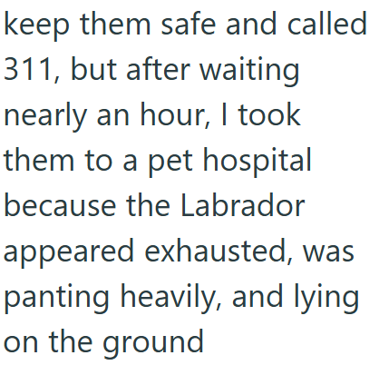 keep them safe and called 311, but after waiting nearly an hour, I took them to a pet hospital because the Labrador appeared exhausted, was panting heavily, and lying on the ground