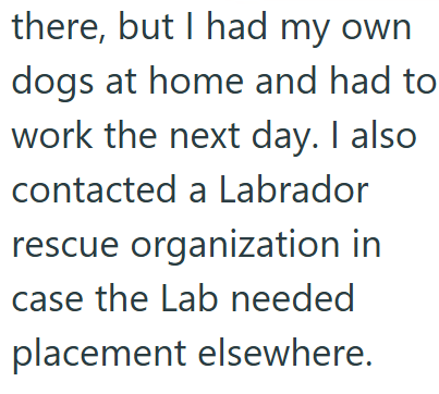 there, but I had my own dogs at home and had to work the next day. I also contacted a Labrador rescue organization in case the Lab needed placement elsewhere.