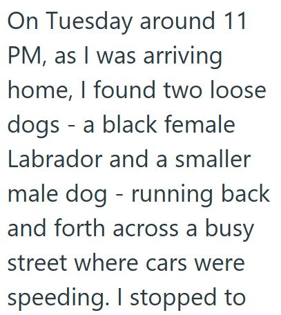 On Tuesday around 11 PM, as I was arriving home, I found two loose dogs a black female - Labrador and a smaller male dog running back - and forth across a busy street where cars were speeding. I stopped to