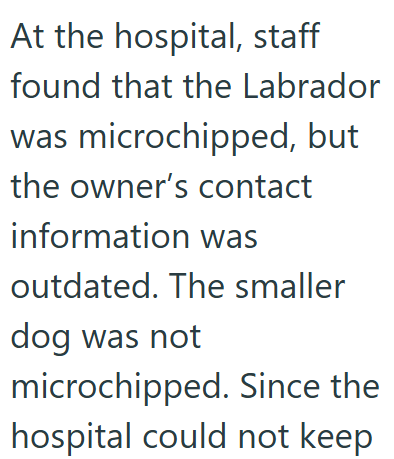 At the hospital, staff found that the Labrador was microchipped, but the owner's contact information was outdated. The smaller dog was not microchipped. Since the hospital could not keep