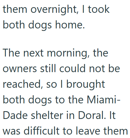 them overnight, I took both dogs home. The next morning, the owners still could not be reached, so I brought both dogs to the Miami- Dade shelter in Doral. It was difficult to leave them