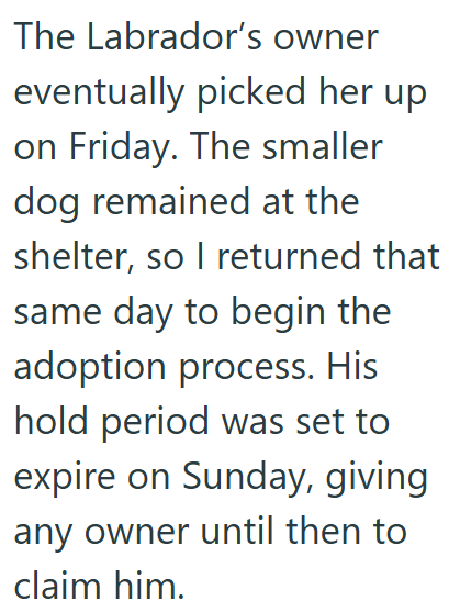 The Labrador's owner eventually picked her up on Friday. The smaller dog remained at the shelter, so I returned that same day to begin the adoption process. His hold period was set to expire on Sunday, giving any owner until then to claim him.