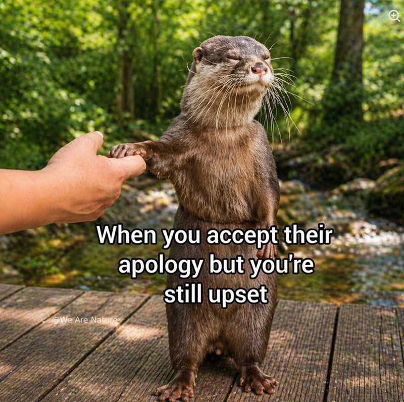When you accept their apology but you're still upset We Are Nature +