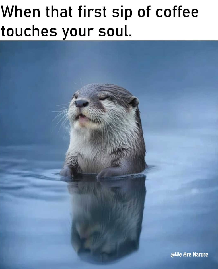 When that first sip of coffee touches your soul. @We Are Nature