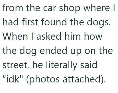 from the car shop where I had first found the dogs. When I asked him how the dog ended up on the street, he literally said "idk" (photos attached).
