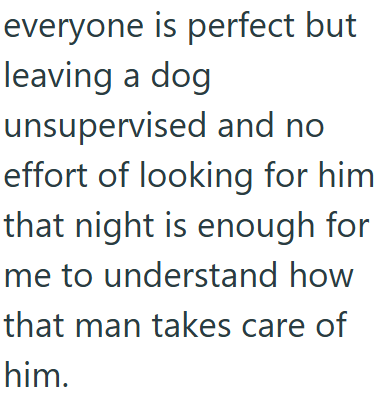 everyone is perfect but leaving a dog unsupervised and no effort of looking for him that night is enough for me to understand how that man takes care of him.