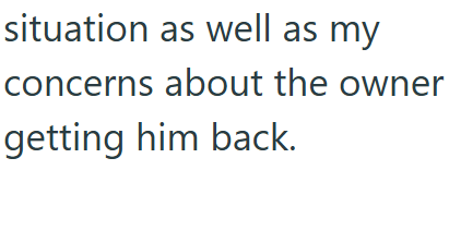 situation as well as my concerns about the owner getting him back.