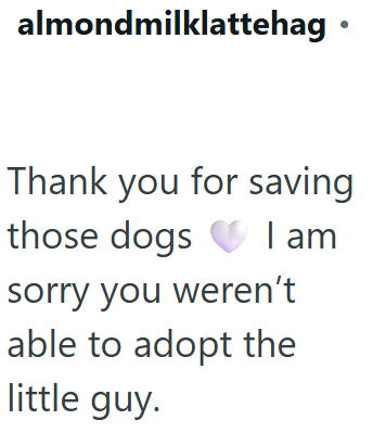 almondmilklattehag · Thank you for saving those dogs I am sorry you weren't able to adopt the little guy.