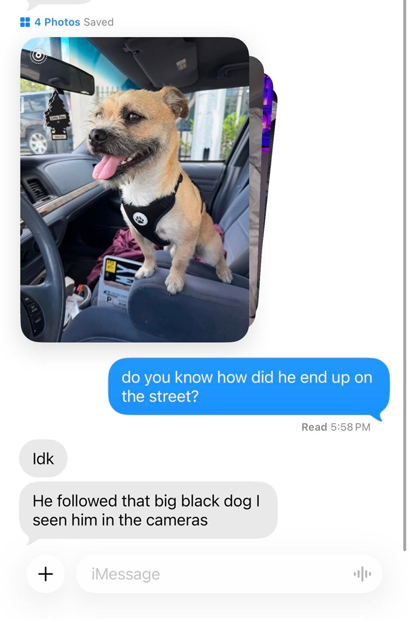 Idk 4 Photos Saved do you know how did he end up on the street? He followed that big black dog I seen him in the cameras + iMessage Read 5:58 PM
