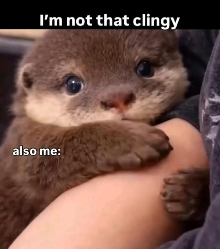 I'm not that clingy also me:
